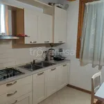 Rent 5 bedroom apartment of 80 m² in Adria