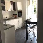 Rent 1 bedroom apartment of 10 m² in Lyon 9