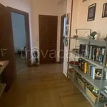 Rent 2 bedroom apartment of 70 m² in Varese