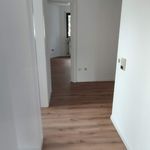 Rent 2 bedroom apartment of 49 m² in Erlangen