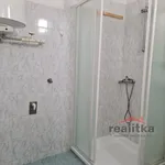 Rent 2 bedroom apartment in Opava