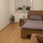 Rent 1 bedroom apartment in Capital City of Prague