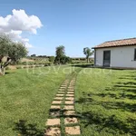 Rent 3 bedroom house of 55 m² in Montalto di Castro