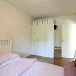 Huur 1 slaapkamer appartement van 55 m² in groningen