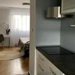 Rent 1 bedroom apartment of 34 m² in Prague