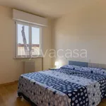 Rent 3 bedroom apartment of 80 m² in Forte dei Marmi