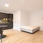 Rent 1 bedroom apartment in Leuven