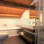 Rent 4 bedroom apartment of 110 m² in Vicenza