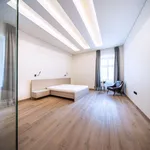 Pronajměte si 2 ložnic/e byt o rozloze 186 m² v Prague