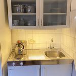 Rent 1 bedroom apartment of 45 m² in Frankfurt