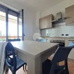 Rent 1 bedroom apartment of 130 m² in Viterbo