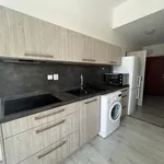 Rent 2 bedroom apartment of 38 m² in Brno