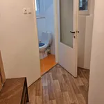 Rent 1 bedroom apartment of 45 m² in Teplice