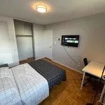 Rent 1 bedroom apartment in Old Toronto