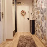 Rent 2 bedroom apartment of 50 m² in Goleniów