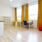 Rent 1 bedroom apartment in Brno