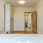 Rent 1 bedroom apartment of 55 m² in City of Zagreb