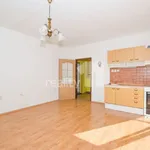 Rent 2 bedroom apartment of 45 m² in Liberec