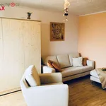 Rent 2 bedroom apartment of 38 m² in Praha