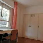 Rent a room in madrid