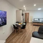 Rent 1 bedroom apartment in Zlín