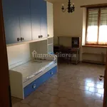 Rent 3 bedroom apartment of 80 m² in Turin