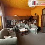 Rent 1 bedroom house of 201 m² in Ratíškovice