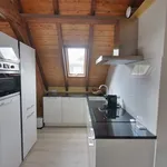 Rent 1 bedroom house of 50 m² in Tiel