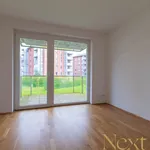 Rent 2 bedroom apartment of 55 m² in Linz