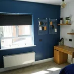 Rent 6 bedroom apartment in East Midlands