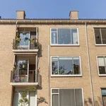 Huur 3 slaapkamer appartement van 76 m² in Breda