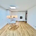 Rent 3 bedroom apartment of 87 m² in Wien