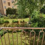 Rent 1 bedroom apartment in Capital City of Prague