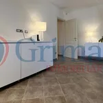 Rent 2 bedroom apartment of 50 m² in Livorno