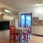 Rent 2 bedroom apartment of 55 m² in Velletri