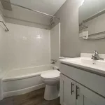 Rent 1 bedroom apartment in Chicago