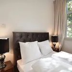 Rent 1 bedroom apartment of 35 m² in Frankfurt