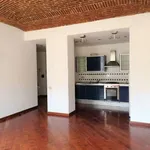 Rent 2 bedroom apartment of 75 m² in Turin