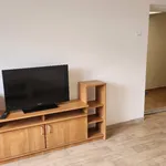 Rent 1 bedroom apartment in Plzeň