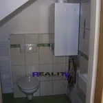 Rent 1 bedroom apartment in Podbořany