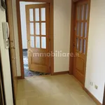 Rent 3 bedroom house of 100 m² in Bologna