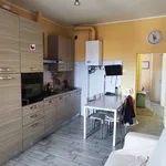 Rent 2 bedroom apartment of 48 m² in Piacenza