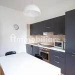 Rent 3 bedroom apartment of 95 m² in Turin