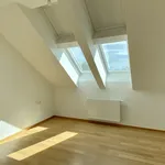 Rent 4 bedroom apartment of 168 m² in Vienna