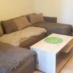 Rent 3 bedroom apartment of 64 m² in Łódź