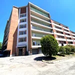 Rent 5 bedroom apartment of 130 m² in Perugia