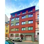 Rent 3 bedroom apartment in Bendova