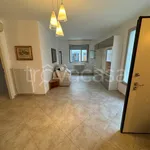 Rent 4 bedroom apartment of 91 m² in Grosseto