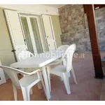 Rent 2 bedroom apartment of 55 m² in Lecce