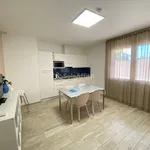 Rent 2 bedroom house of 40 m² in Rimini